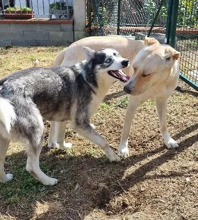 La Finestra Sul Colle Couette-café Parrana San Martino
