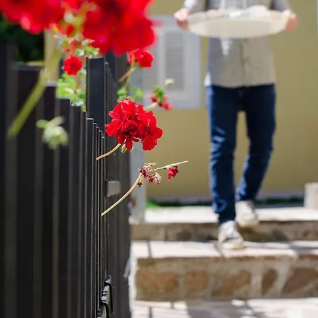 La Finestra Sul Colle Couette-café Parrana San Martino