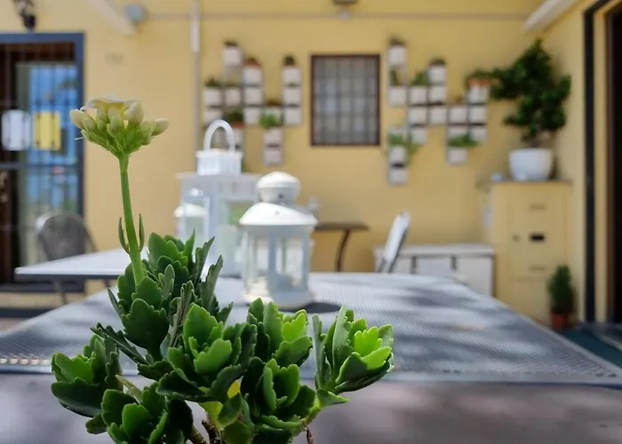 Bed & Breakfast La Finestra Sul Colle