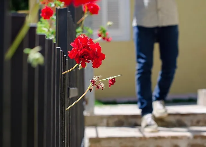 La Finestra Sul Colle Bed & Breakfast Parrana San Martino